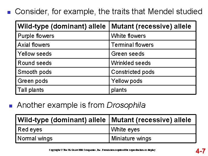 n Consider, for example, the traits that Mendel studied Wild-type (dominant) allele Mutant (recessive)