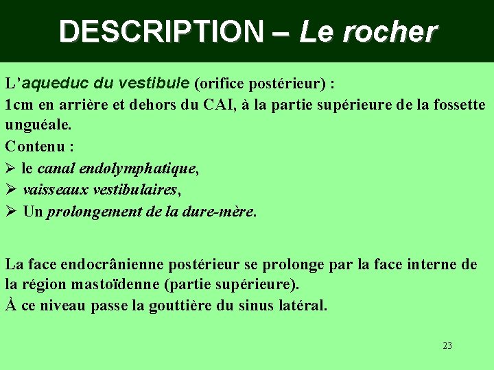 DESCRIPTION – Le rocher L’aqueduc du vestibule (orifice postérieur) : 1 cm en arrière