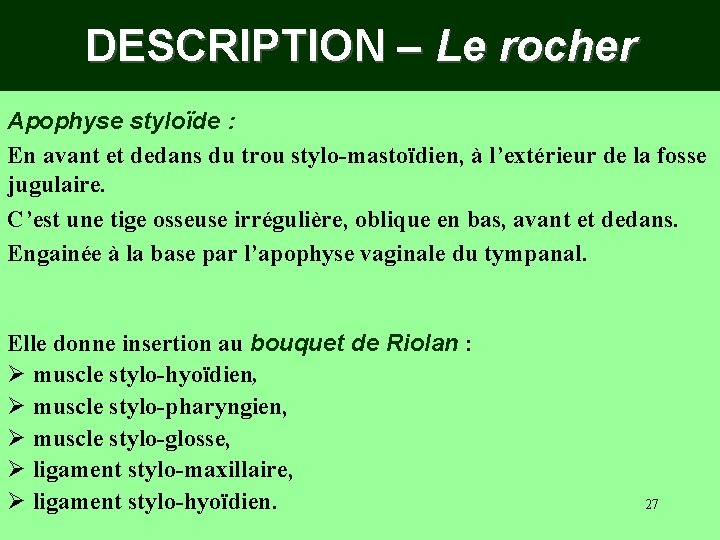 DESCRIPTION – Le rocher Apophyse styloïde : En avant et dedans du trou stylo-mastoïdien,