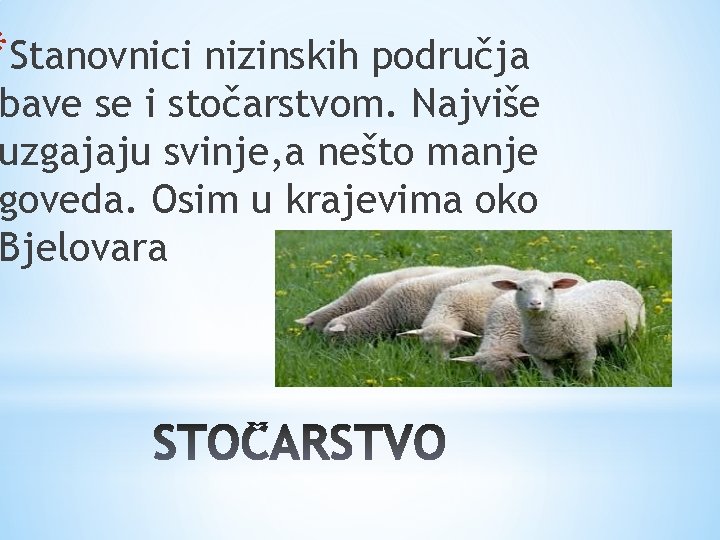 *Stanovnici nizinskih područja bave se i stočarstvom. Najviše uzgajaju svinje, a nešto manje goveda.