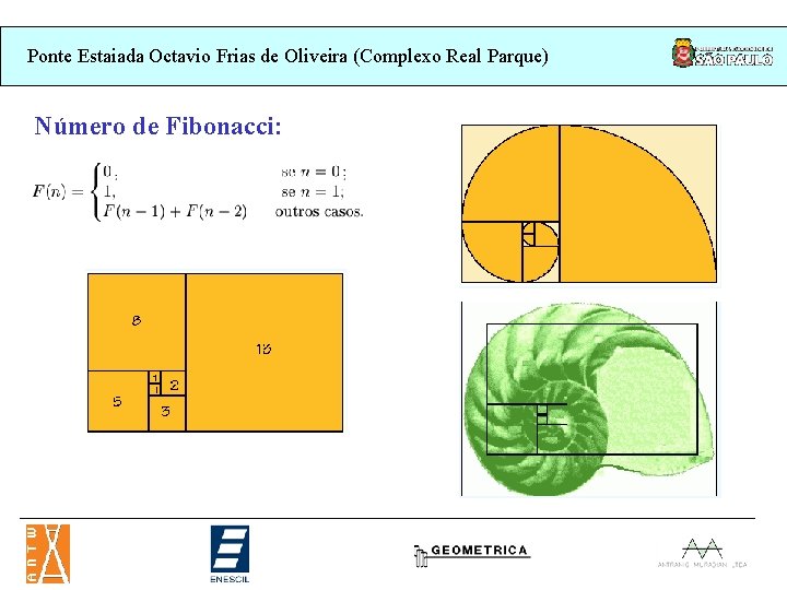 Ponte Estaiada Octavio Frias de Oliveira (Complexo Real Parque) Número de Fibonacci: Ponte Estaiada Octavio Frias de Oliveira (Complexo Real Parque) Número de Fibonacci: