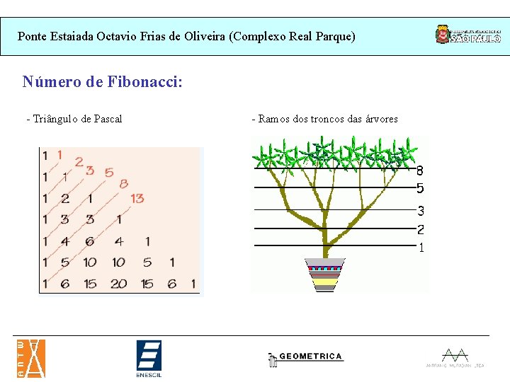 Ponte Estaiada Octavio Frias de Oliveira (Complexo Real Parque) Número de Fibonacci: - Triângulo Ponte Estaiada Octavio Frias de Oliveira (Complexo Real Parque) Número de Fibonacci: - Triângulo