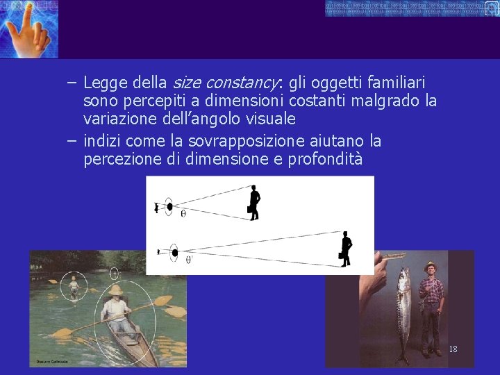 – Legge della size constancy: gli oggetti familiari sono percepiti a dimensioni costanti malgrado