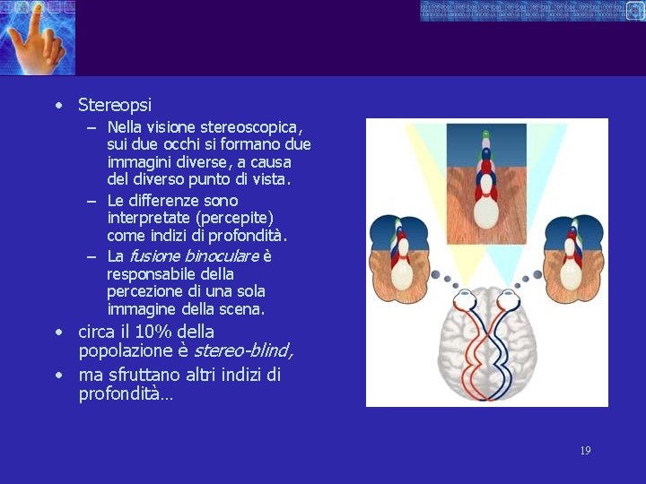  • Stereopsi – Nella visione stereoscopica, sui due occhi si formano due immagini
