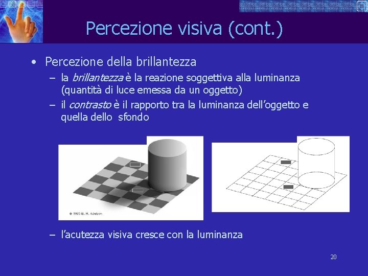 Percezione visiva (cont. ) • Percezione della brillantezza – la brillantezza è la reazione