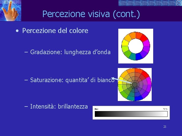 Percezione visiva (cont. ) • Percezione del colore – Gradazione: lunghezza d’onda – Saturazione: