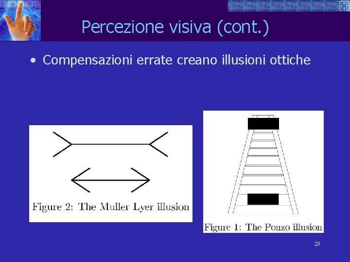 Percezione visiva (cont. ) • Compensazioni errate creano illusioni ottiche 29 