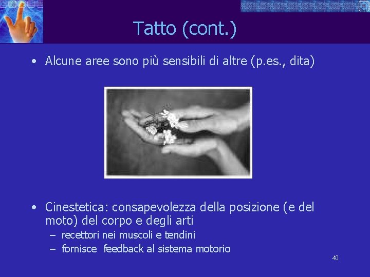 Tatto (cont. ) • Alcune aree sono più sensibili di altre (p. es. ,