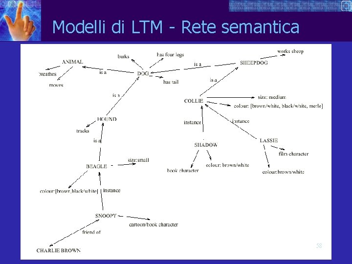 Modelli di LTM - Rete semantica 58 