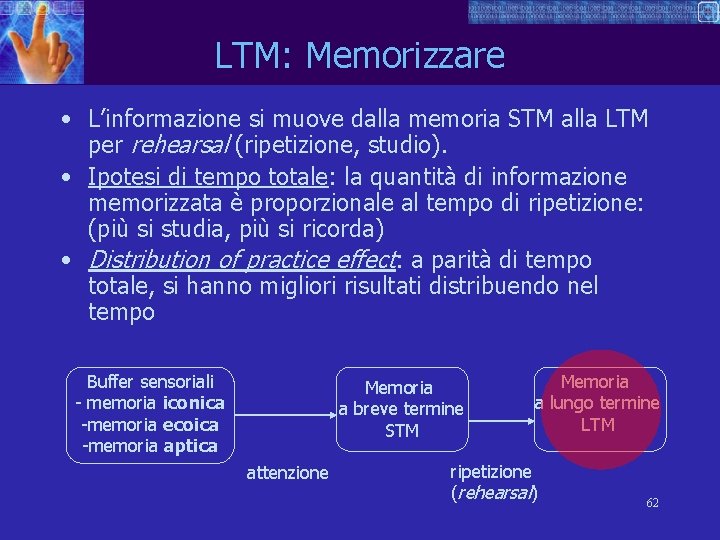 LTM: Memorizzare • L’informazione si muove dalla memoria STM alla LTM per rehearsal (ripetizione,