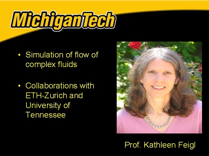 • Simulation of flow of complex fluids • Collaborations with ETH-Zurich and University • Simulation of flow of complex fluids • Collaborations with ETH-Zurich and University