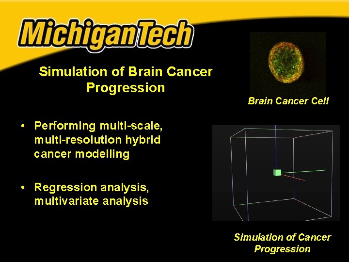 Simulation of Brain Cancer Progression Brain Cancer Cell • Performing multi-scale, multi-resolution hybrid cancer Simulation of Brain Cancer Progression Brain Cancer Cell • Performing multi-scale, multi-resolution hybrid cancer