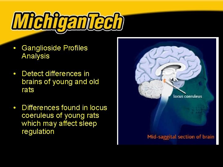 • Ganglioside Profiles Analysis • Detect differences in brains of young and old • Ganglioside Profiles Analysis • Detect differences in brains of young and old