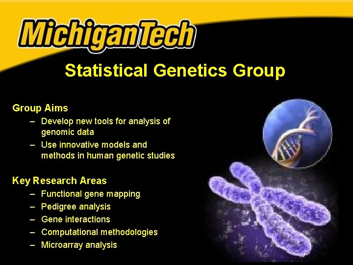 Statistical Genetics Group Aims – Develop new tools for analysis of genomic data – Statistical Genetics Group Aims – Develop new tools for analysis of genomic data –