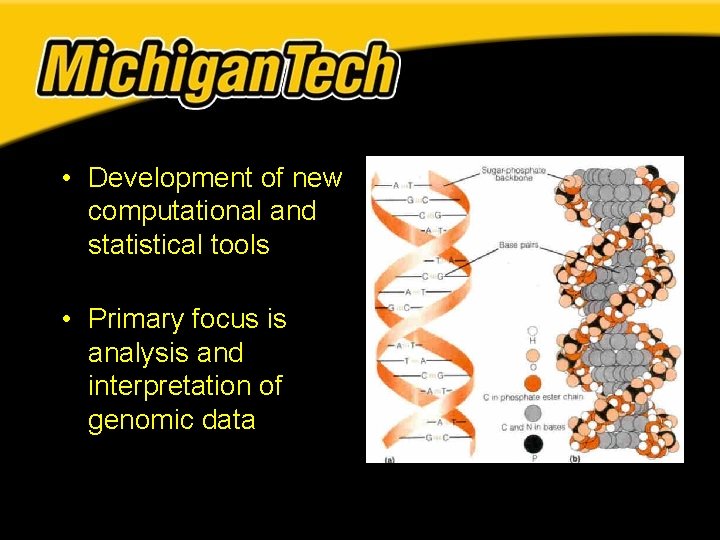• Development of new computational and statistical tools • Primary focus is analysis • Development of new computational and statistical tools • Primary focus is analysis