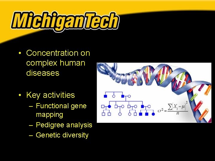 • Concentration on complex human diseases • Key activities – Functional gene mapping • Concentration on complex human diseases • Key activities – Functional gene mapping