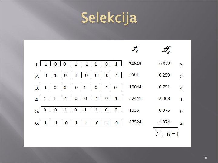 Selekcija 28 