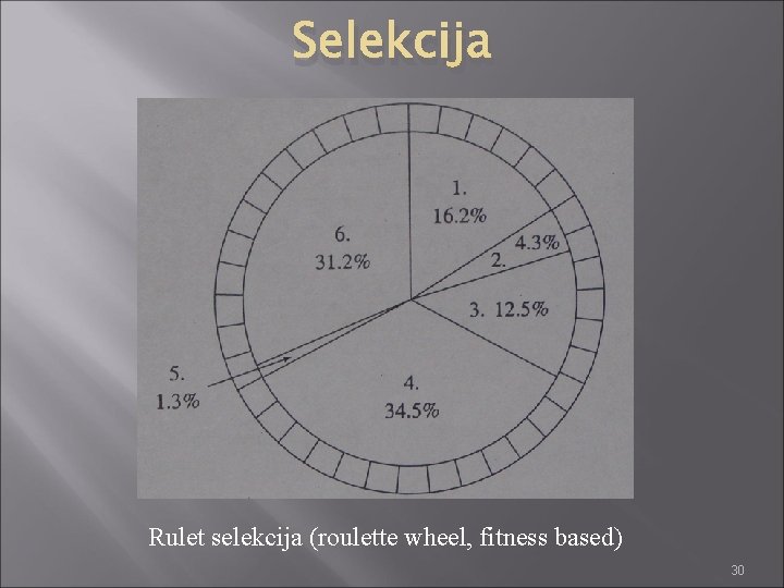 Selekcija Rulet selekcija (roulette wheel, fitness based) 30 