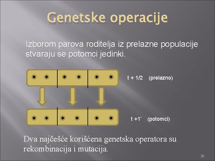 Genetske operacije Izborom parova roditelja iz prelazne populacije stvaraju se potomci jedinki. t +