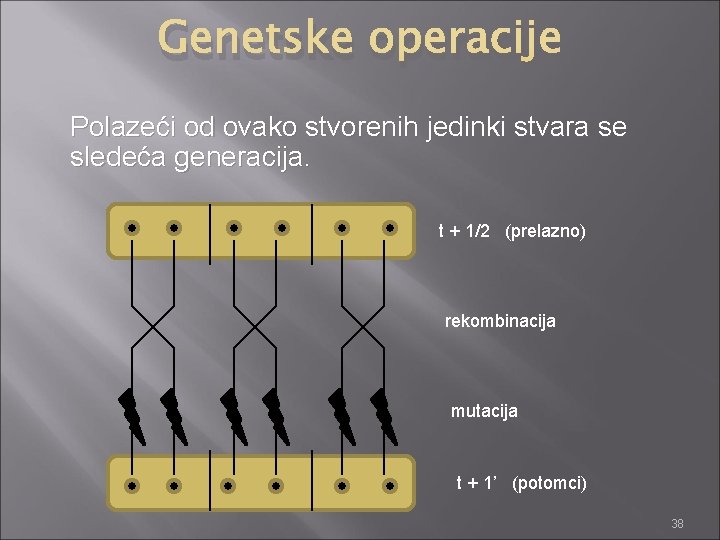 Genetske operacije Polazeći od ovako stvorenih jedinki stvara se sledeća generacija. t + 1/2