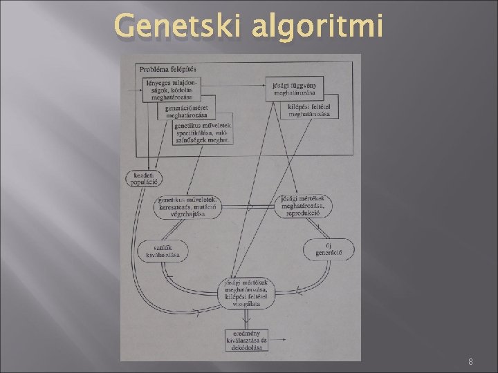 Genetski algoritmi 8 