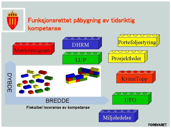 Funksjonsrettet påbygning av tidsriktig kompetanse Mentorprogram DHRM LUP Porteføljestyring Prosjektleder DYBDE Kvinn. Topp BREDDE