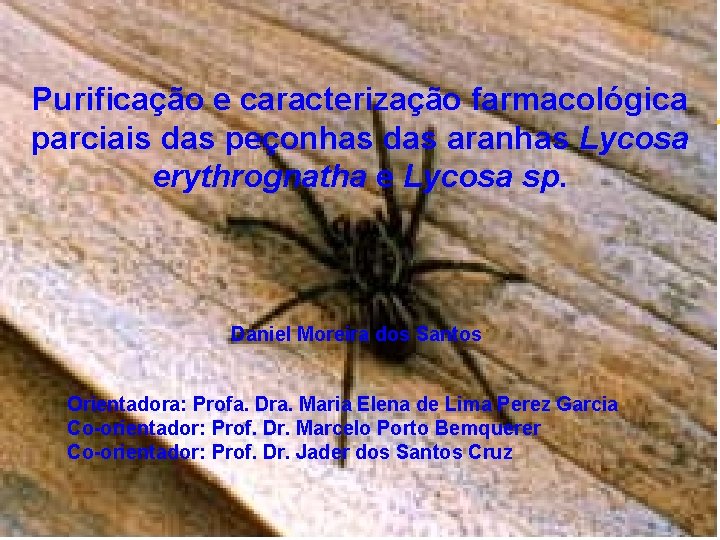 Purificação e caracterização farmacológica parciais das peçonhas das aranhas Lycosa erythrognatha e Lycosa sp.