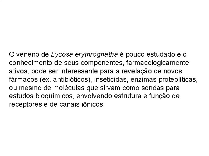 O veneno de Lycosa erythrognatha é pouco estudado e o conhecimento de seus componentes,