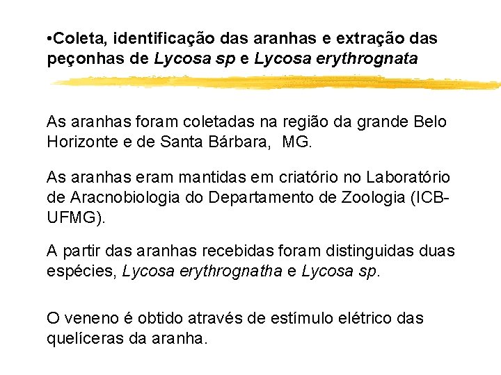  • Coleta, identificação das aranhas e extração das peçonhas de Lycosa sp e