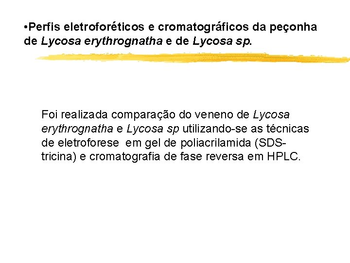  • Perfis eletroforéticos e cromatográficos da peçonha de Lycosa erythrognatha e de Lycosa