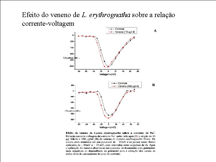 Efeito do veneno de L. erythrognatha sobre a relação corrente-voltagem 