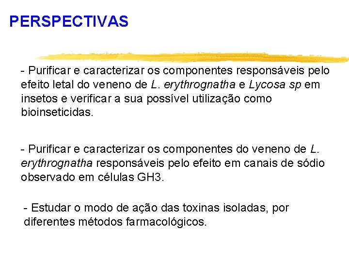 PERSPECTIVAS - Purificar e caracterizar os componentes responsáveis pelo efeito letal do veneno de
