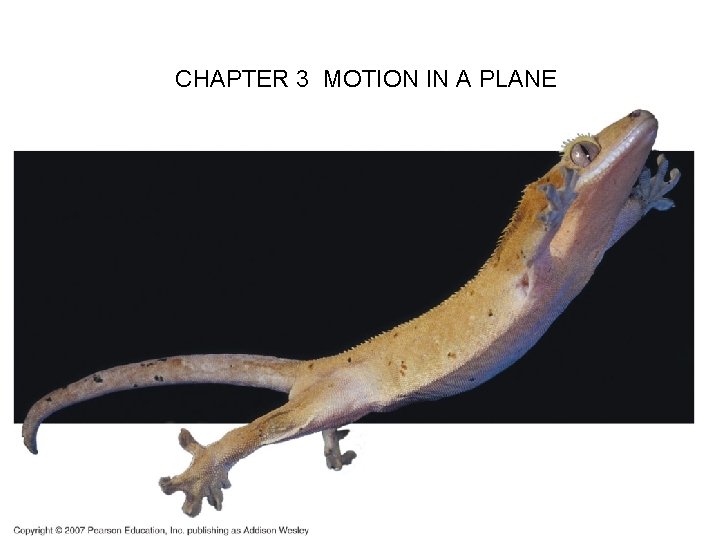 CHAPTER 3 MOTION IN A PLANE 