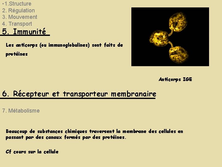 • 1. Structure 2. Régulation 3. Mouvement 4. Transport 5. Immunité Les anticorps • 1. Structure 2. Régulation 3. Mouvement 4. Transport 5. Immunité Les anticorps