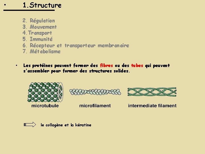 • 1. Structure 2. Régulation 3. Mouvement 4. Transport 5. Immunité 6. Récepteur • 1. Structure 2. Régulation 3. Mouvement 4. Transport 5. Immunité 6. Récepteur