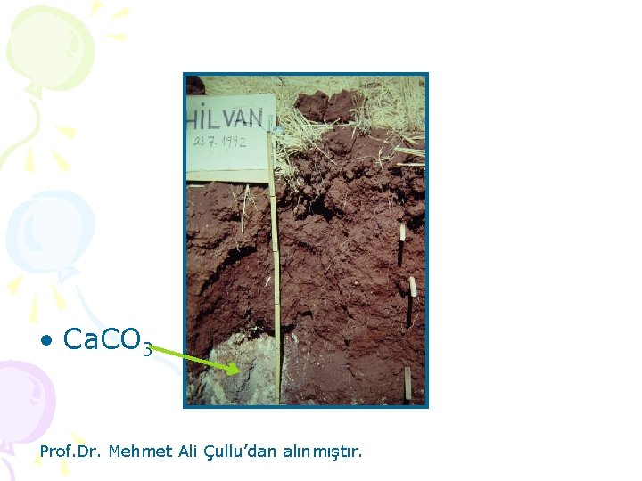  • Ca. CO 3 Prof. Dr. Mehmet Ali Çullu’dan alınmıştır. 