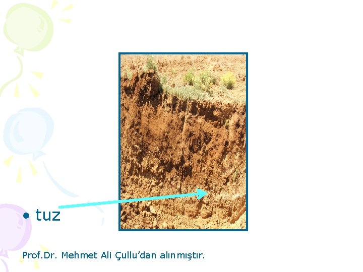  • tuz Prof. Dr. Mehmet Ali Çullu’dan alınmıştır. 