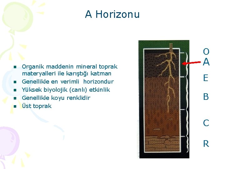 A Horizonu O n n n Organik maddenin mineral toprak materyalleri ile karıştığı katman