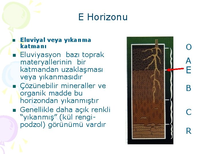 E Horizonu n Eluviyal veya yıkanma katmanı n Eluviyasyon bazı toprak materyallerinin bir katmandan