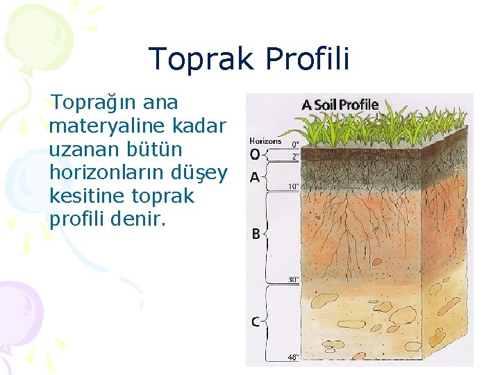 Toprak Profili Toprağın ana materyaline kadar uzanan bütün horizonların düşey kesitine toprak profili denir.