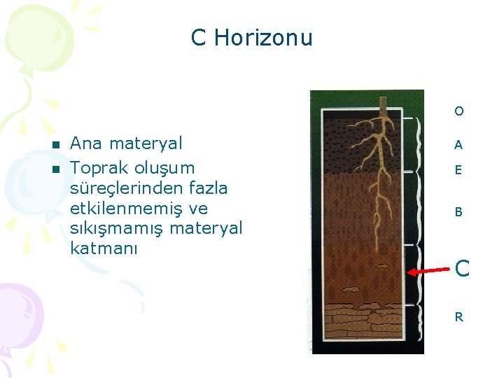 C Horizonu O n n Ana materyal Toprak oluşum süreçlerinden fazla etkilenmemiş ve sıkışmamış