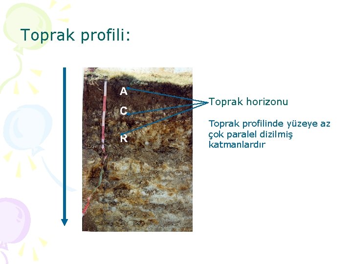 Toprak profili: Toprak horizonu Toprak profilinde yüzeye az çok paralel dizilmiş katmanlardır 