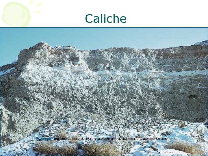 Caliche Source: Teaching Collection/University of Washington, Department of Geological Science 