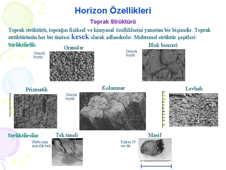 Horizon Özellikleri Toprak Strüktürü Toprak strüktürü, toprağın fiziksel ve kimyasal özelliklerini yansıtan bir biçimdir.