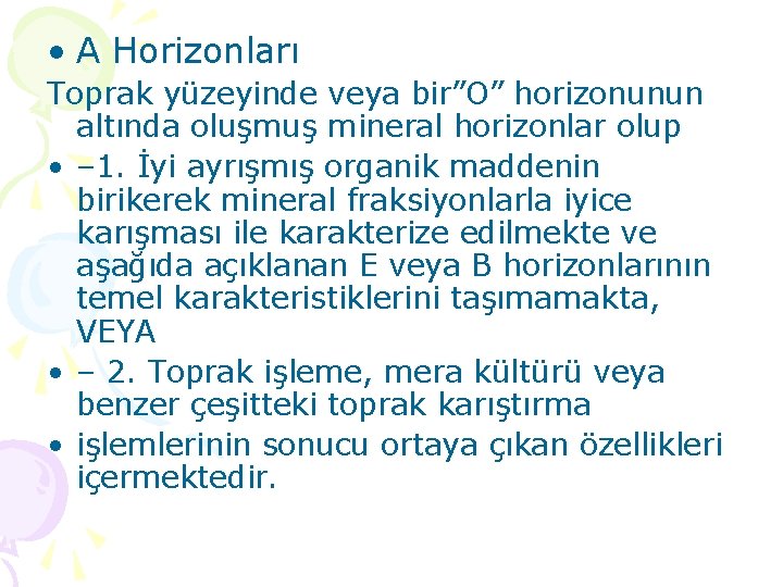  • A Horizonları Toprak yüzeyinde veya bir”O” horizonunun altında oluşmuş mineral horizonlar olup
