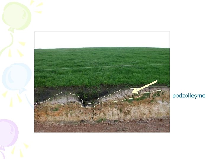 podzolleşme 