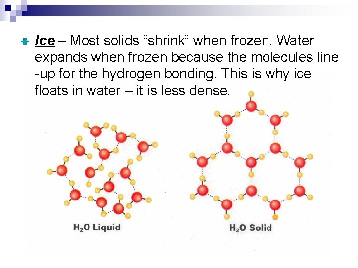 Ice – Most solids “shrink” when frozen. Water expands when frozen because the molecules
