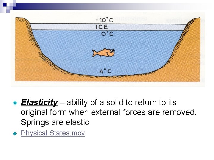 Elasticity – ability of a solid to return to its original form when external