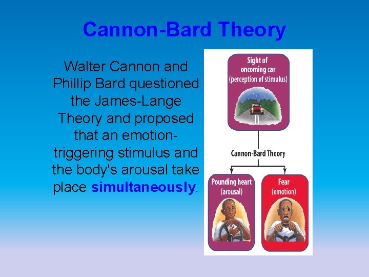 Cannon-Bard Theory Walter Cannon and Phillip Bard questioned the James-Lange Theory and proposed that