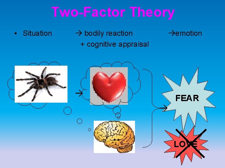 Two-Factor Theory • Situation bodily reaction emotion + cognitive appraisal FEAR LOVE 